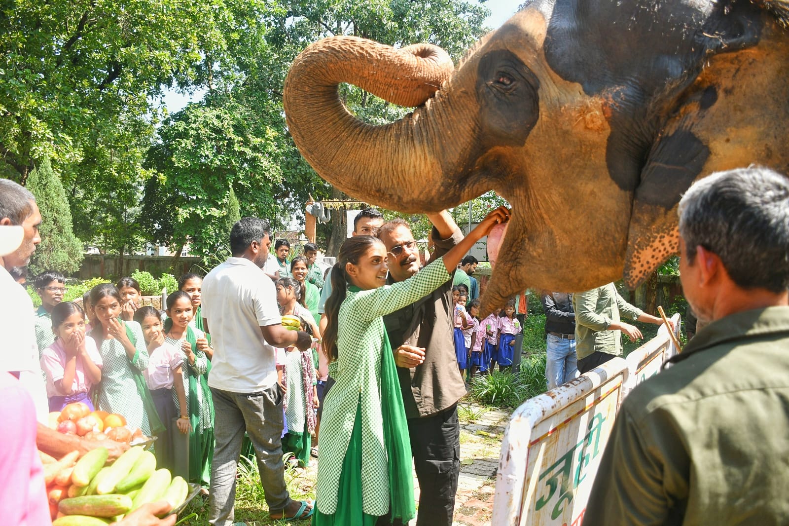 विश्व हाथी दिवस पर बेतला में गूंजा वन्यजीव संरक्षण का संदेश, बच्चों ने हाथियों को खिलाए फल